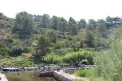 d852311542f