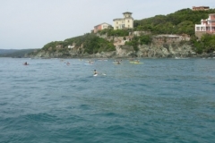 c9b54236549